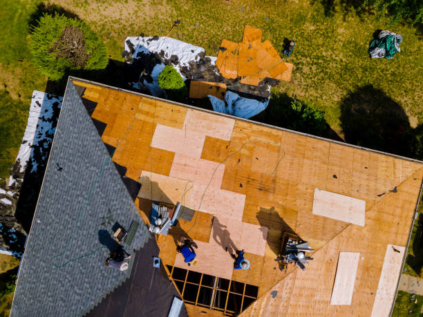 Best Metal Roofing Contractor  in Lino Lakes, MN