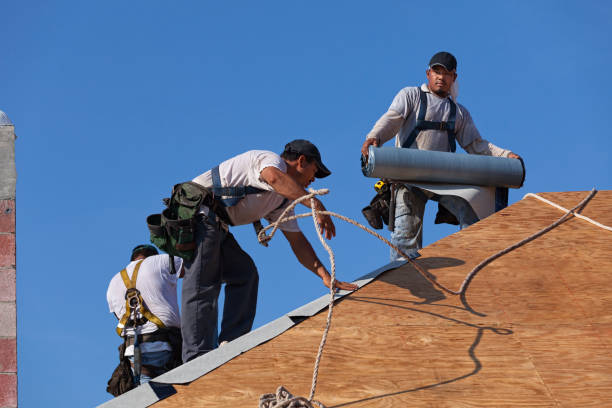 Best Metal Roofing Contractor  in Lino Lakes, MN