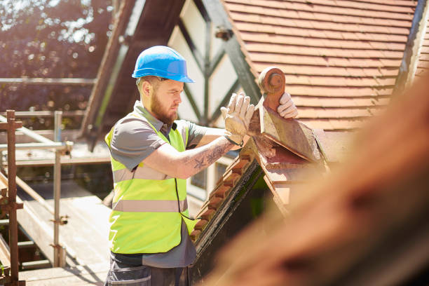 Professional Roofing Contractor in Lino Lakes, MN